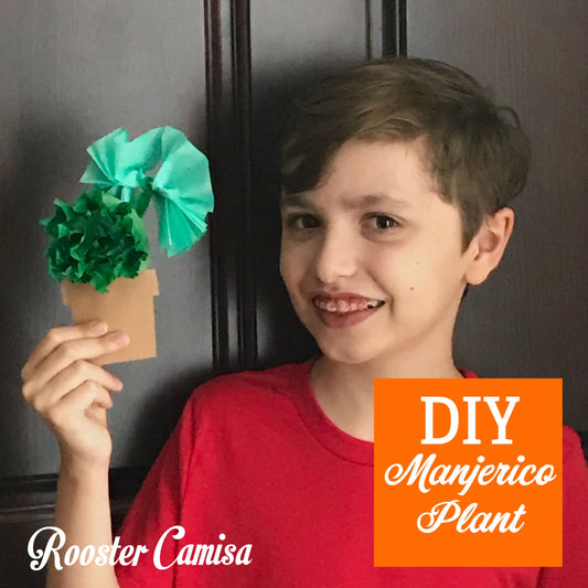 DIY Manjerico Plant Rooster Camisa
