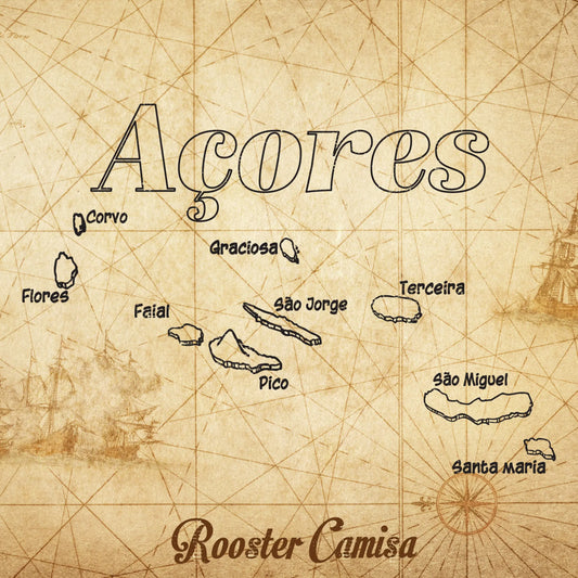 Discovery of the Aores islands. Rooster Camisa